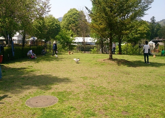 【栃木】道の駅なのに体験施設充実で温泉もある「ろまんちっく村」の魅力(割引あり)