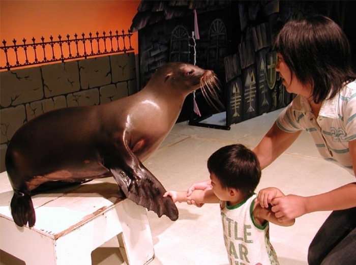 【神奈川】軽いお出かけにも便利な三浦半島海の水族館「京急 ...