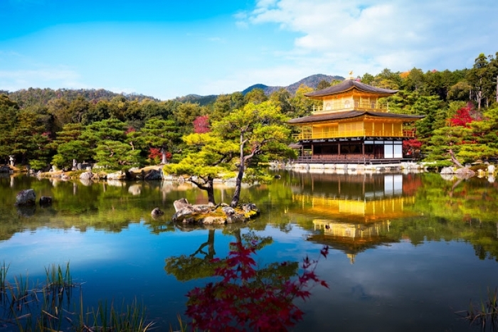 【京都】京都水族館と世界遺産のどちらも楽しめるのんびり観光ガイド