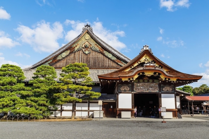 【京都】京都水族館と世界遺産のどちらも楽しめるのんびり観光ガイド