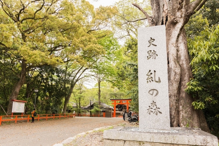 【京都】京都水族館と世界遺産のどちらも楽しめるのんびり観光ガイド