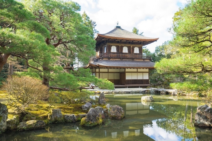 【京都】京都水族館と世界遺産のどちらも楽しめるのんびり観光ガイド