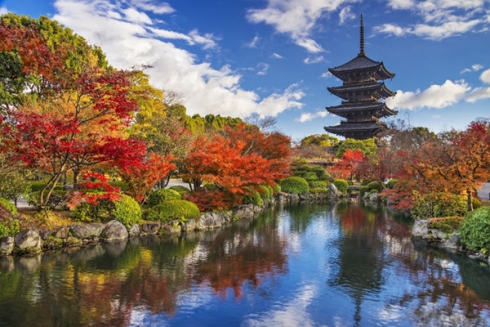 【2018年版】紅葉を手軽に見られる京都水族館近くの人気スポット4選