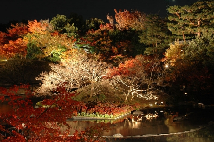 【京都】紅葉を手軽に見られる京都水族館近くの人気スポット4選