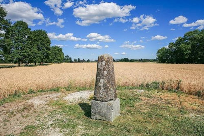 【エストニア】10か国にまたがる世界遺産! シュトゥルーヴェの三角点アーチ観測地点群