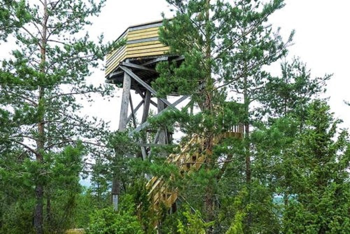 【エストニア】10か国にまたがる世界遺産! シュトゥルーヴェの三角点アーチ観測地点群