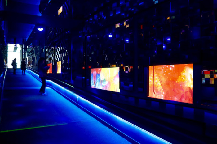 東京スカイツリー観光の新定番。すみだ水族館の魅力とは?