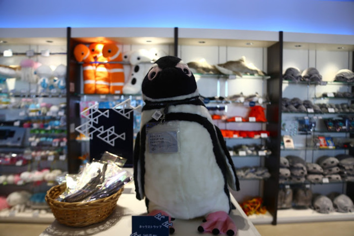東京スカイツリー観光の新定番。すみだ水族館の魅力とは?
