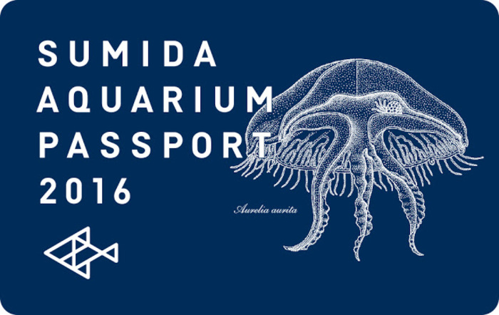 東京スカイツリー観光の新定番。すみだ水族館の魅力とは?