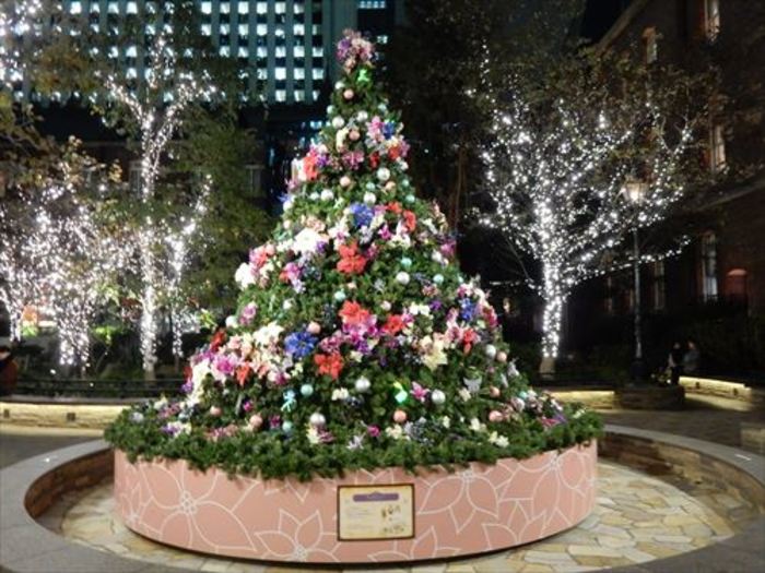 【2018年版】【東京】気分が盛り上がる! デートで行きたいクリスマスイルミネーション8選