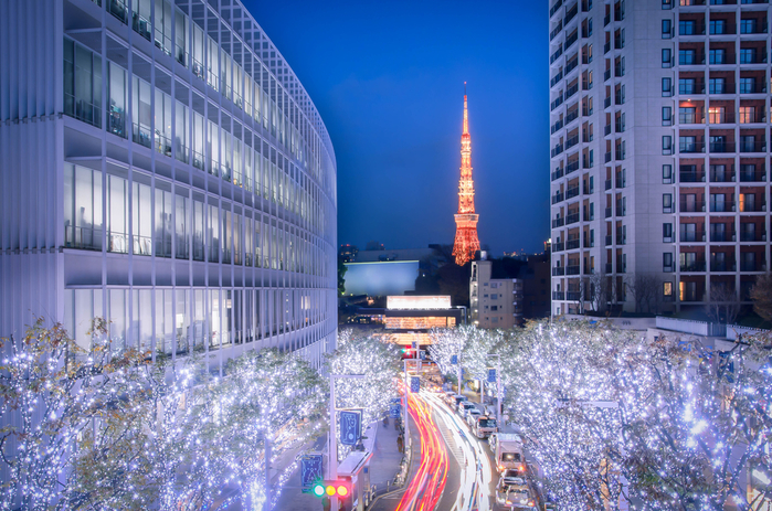 【2019年版】【東京】気分が盛り上がる! デートで行きたいクリスマスイルミネーション8選
