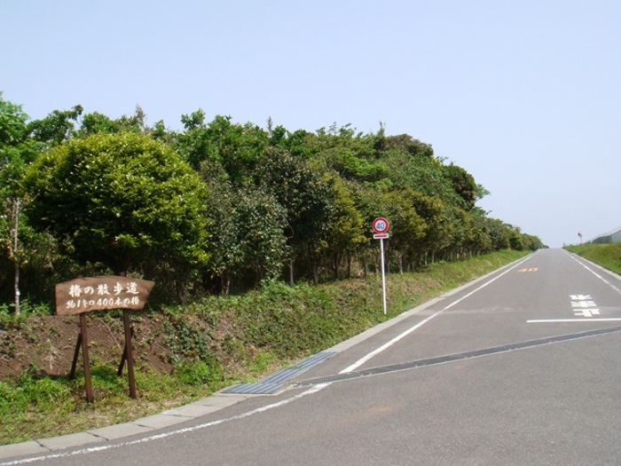 【東京都】大島で宿泊したいおすすめの民宿5選