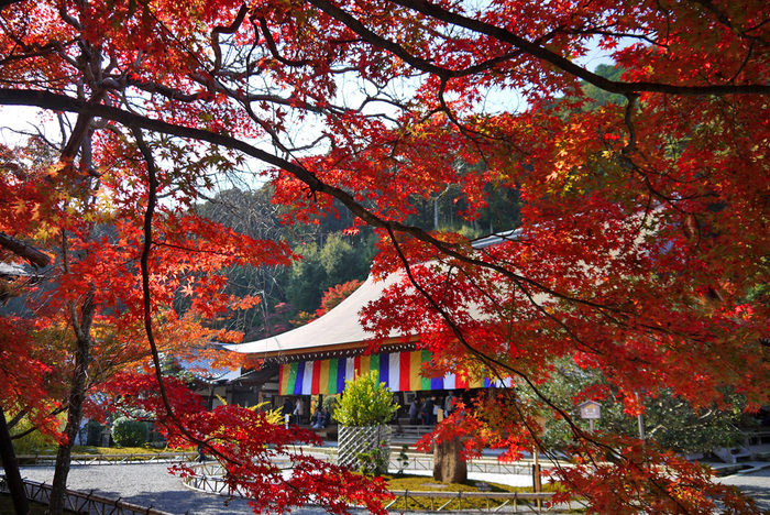 【京都の紅葉2018年版】紅葉の名所おすすめ60選:見頃も合わせてチェック!