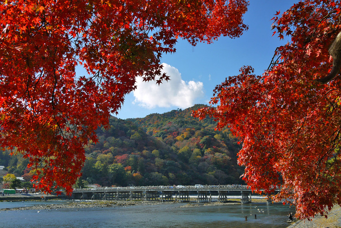 【京都の紅葉2018年版】紅葉の名所おすすめ60選:見頃も合わせてチェック!