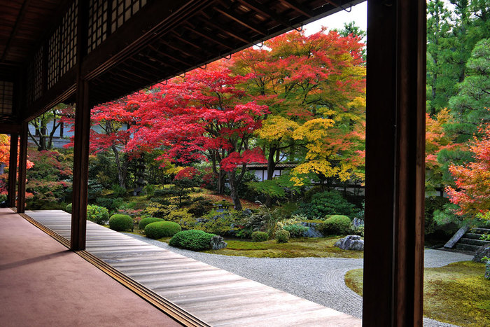 【京都の紅葉2018年版】紅葉の名所おすすめ60選:見頃も合わせてチェック!