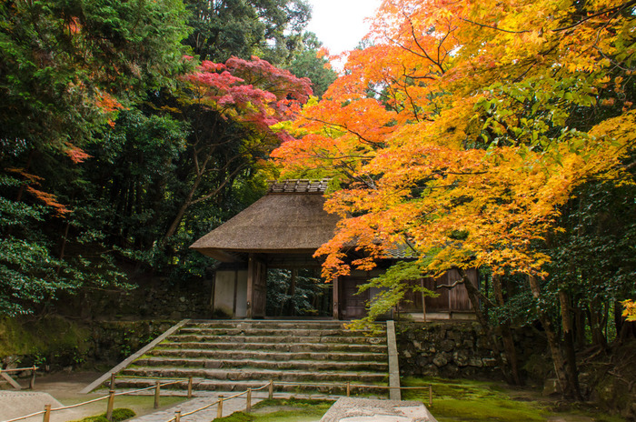 【京都の紅葉2018年版】紅葉の名所おすすめ60選:見頃も合わせてチェック!