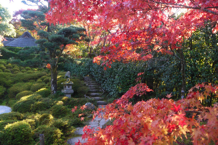 【京都の紅葉2018年版】紅葉の名所おすすめ60選:見頃も合わせてチェック!