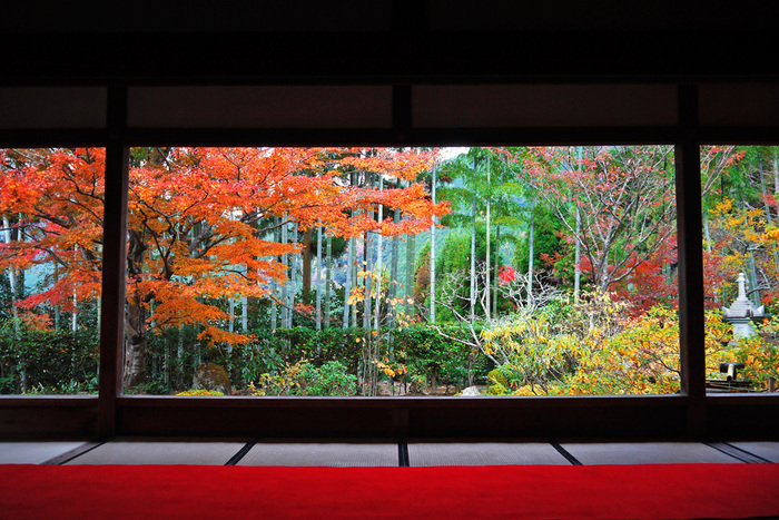 【京都の紅葉2018年版】紅葉の名所おすすめ60選:見頃も合わせてチェック!