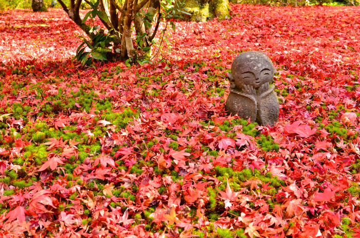 【京都の紅葉2018年版】紅葉の名所おすすめ60選:見頃も合わせてチェック!