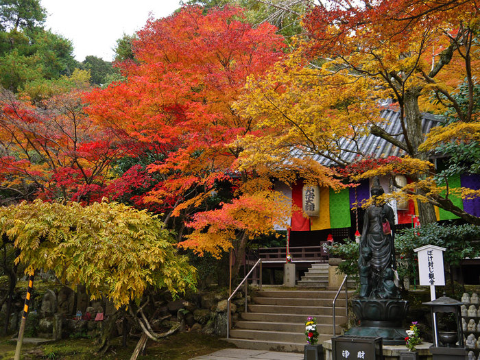 【京都の紅葉2018年版】紅葉の名所おすすめ60選:見頃も合わせてチェック!