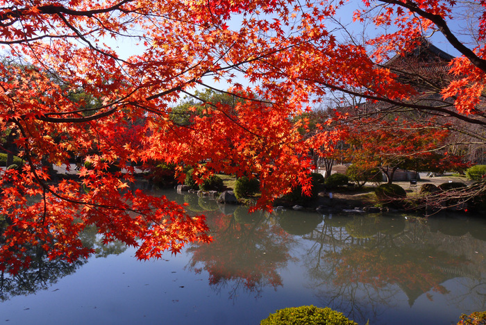 【京都の紅葉2018年版】紅葉の名所おすすめ60選:見頃も合わせてチェック!