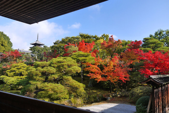 【京都の紅葉2018年版】紅葉の名所おすすめ60選:見頃も合わせてチェック!