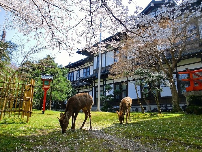 【全国】これは行きたい!皇室御用達のホテル・旅館まとめ9選