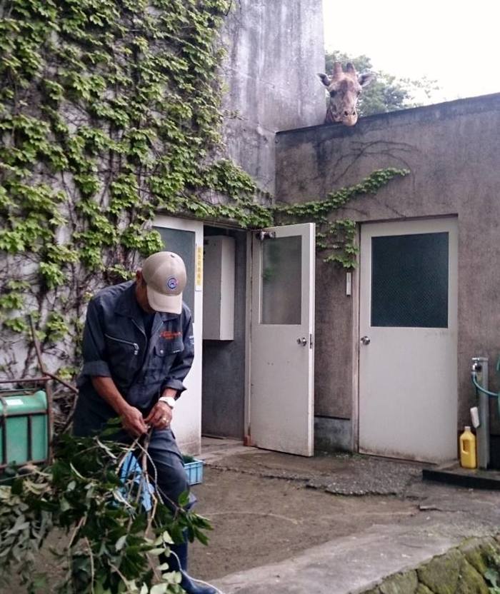 鹿児島観光でおすすめのスポットまとめ:名所ランキング上位の観光地一覧