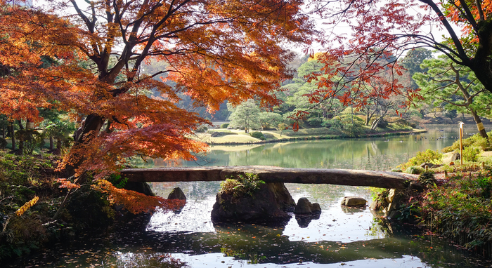 手軽に秋を堪能♪ 関東でおすすめの紅葉スポット5選