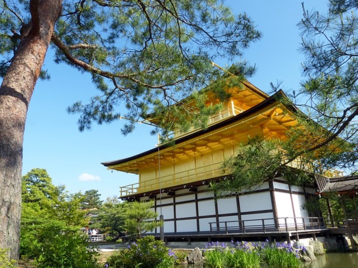 金閣寺観光の見所やアクセス、周辺の観光スポットを一挙紹介!