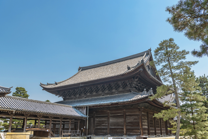 【京都】龍安寺の観光ガイド:見どころからアクセスまで詳細解説