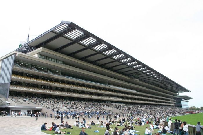 東京競馬場:G1開催数日本一の! 開催レース&施設特徴を徹底解説
