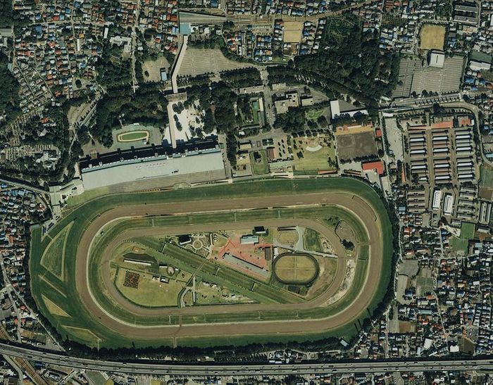 G1開催数日本一の「東京競馬場」 開催レース&施設特徴を徹底解説