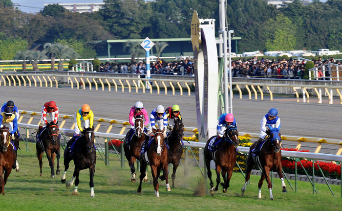G1開催数日本一の「東京競馬場」 開催レース&施設特徴を徹底解説