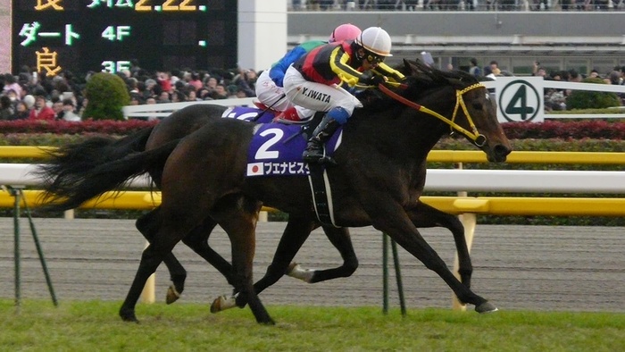 東京競馬場:G1開催数日本一の! 開催レース&施設特徴を徹底解説