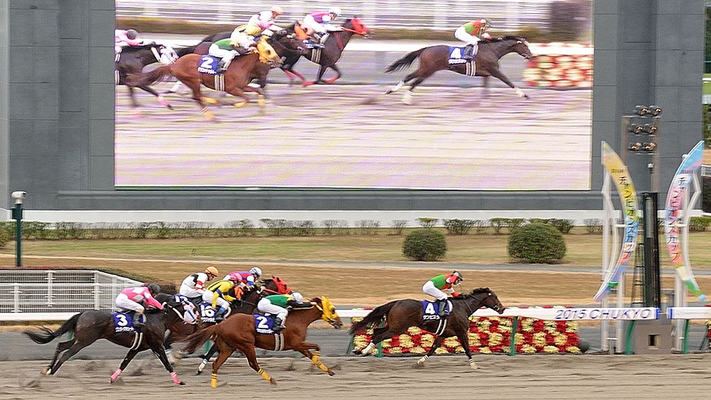 中京競馬場：主要レース、コース特徴、アクセスなど おすすめ旅行を探すならトラベルブック(TravelBook)