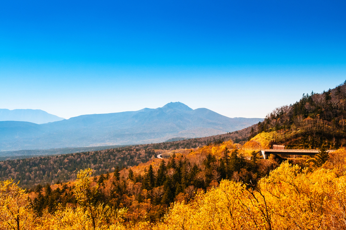 紅葉旅行の人気エリアランキング2017年版、2年連続1位はあのエリア!