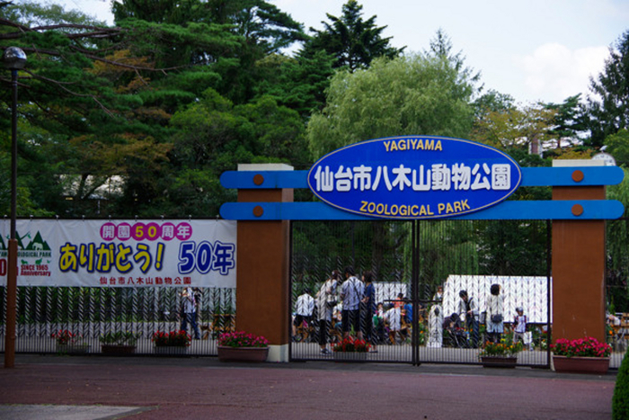 仙台市八木山動物公園ってどんなところ? 家族で楽しい!子供が学べる!楽しい施設
