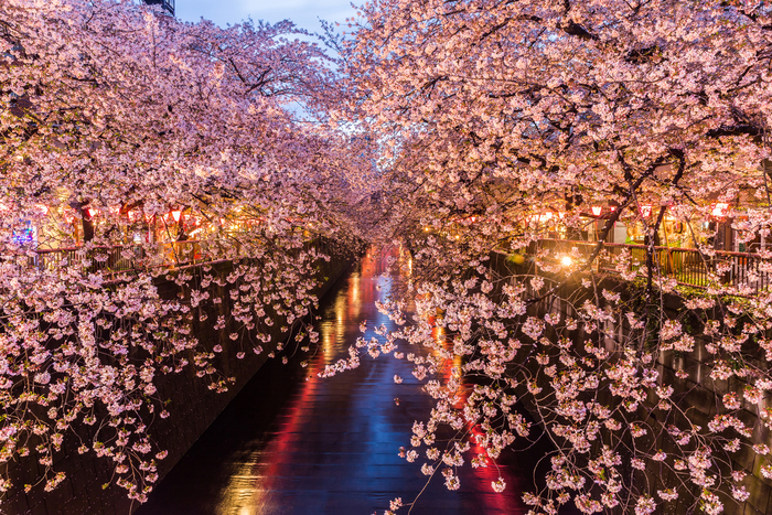 【東京】中目黒のおすすめデートスポット♡素敵な1日を夜まで楽しもう