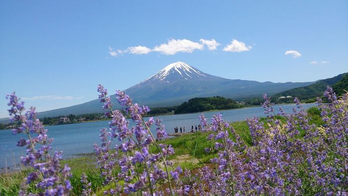 【山梨】河口湖周辺のおすすめ観光地13選:河口湖の美しい観光地を紹介