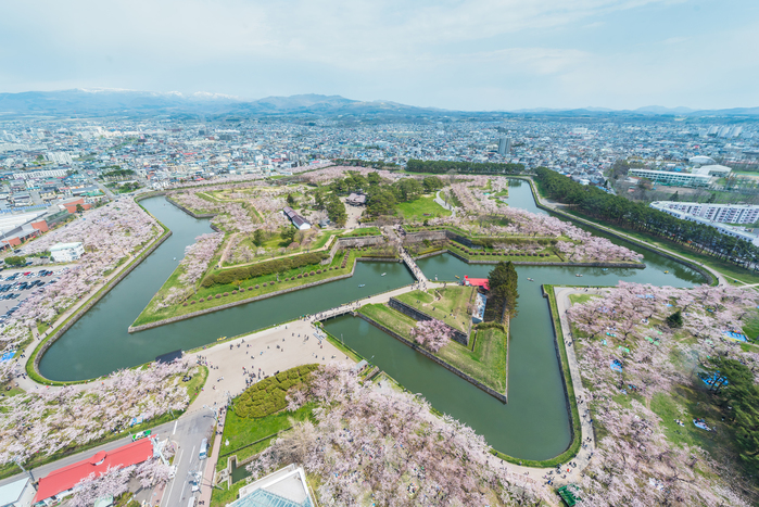 函館で行っておきたいおすすめ花見の名所5選