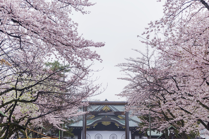 【2019年版】関東のおすすめ花見スポット・名所まとめ:さくらの開花予想も紹介!