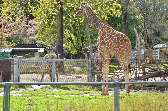 埼玉のおすすめ水族館・動物園9施設!デート&子連れにも人気