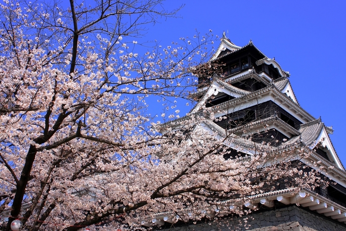 熊本空港といえばこれ! 人気ランキング上位のお土産20選
