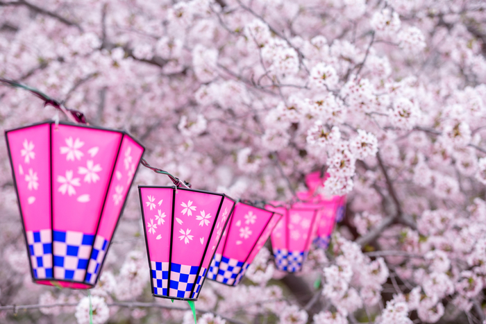 【2019年版】関東のおすすめ花見スポット・名所まとめ:さくらの開花予想も紹介!