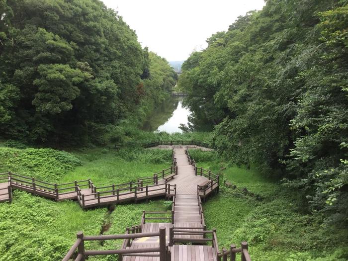 【福島】いわき・平で散歩途中に寄りたいおすすめの観光スポット5選 おすすめ旅行を探すならトラベルブック(TravelBook)
