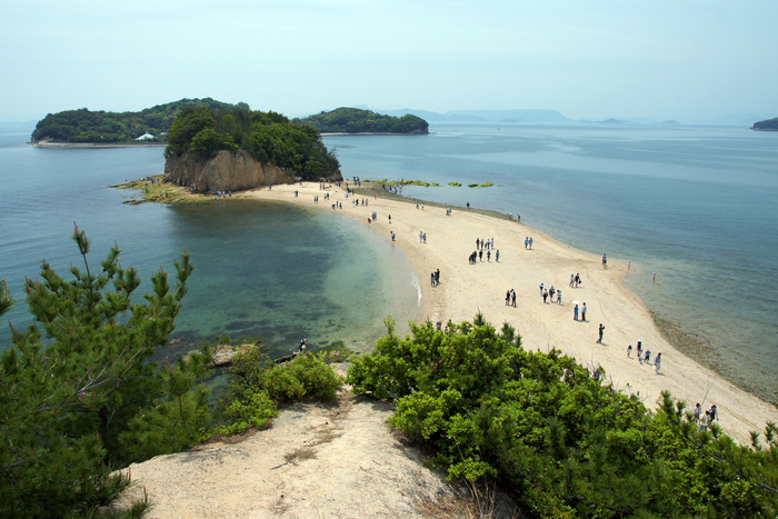 【香川】おすすめはこれ!小豆島ならではのお土産が買えるお店6選