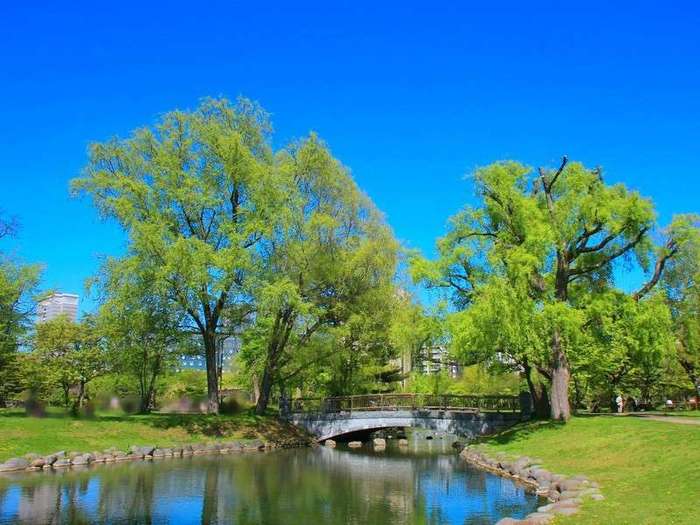 札幌エクセルホテル東急:中島公園に隣接。すすきのへも近く、観光・ビジネスに最適なホテル