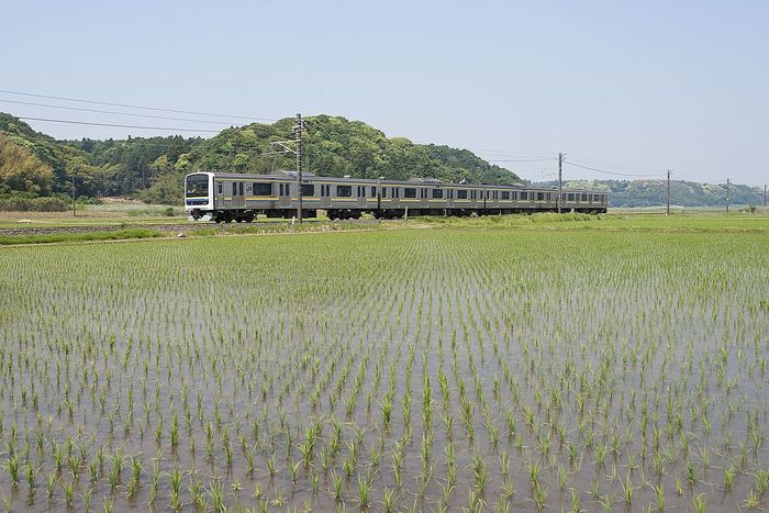 JR成田線・空港第2ビル駅と周辺について!様々な情報を集めてみました