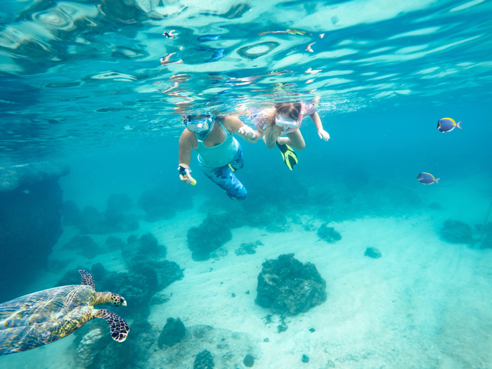 【セブ島】日本人がまだ知らない穴場スポット「スミロン島」!ウミガメや熱帯魚が住む楽園の魅力を徹底解剖します!
